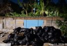 Hampir Sebulan Sampah Menumpuk di Cengkareng Barat, Warga Keluhkan Buruknya Koordinasi RT-RW