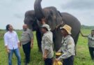 FKGI Dukung Arah Kebijakan Raja Juli Antoni, Infrastruktur Diminta Lindungi Koridor Gajah