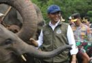 Presiden Prabowo Terbitkan Inpres Nomor 8 Tahun 2026, Tentang Penyelamatan Populasi dan Habitat Gajah Sumatera & Gajah Kalimantan