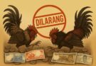 Aktifitas Sabung Ayam di Bekasi Meresahkan, Aparat Diminta Tegas
